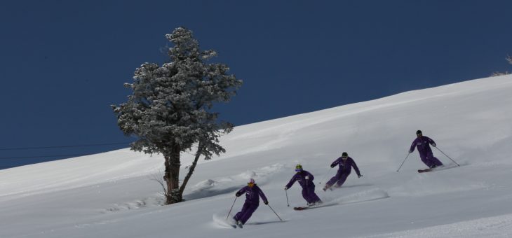 shiga ski
